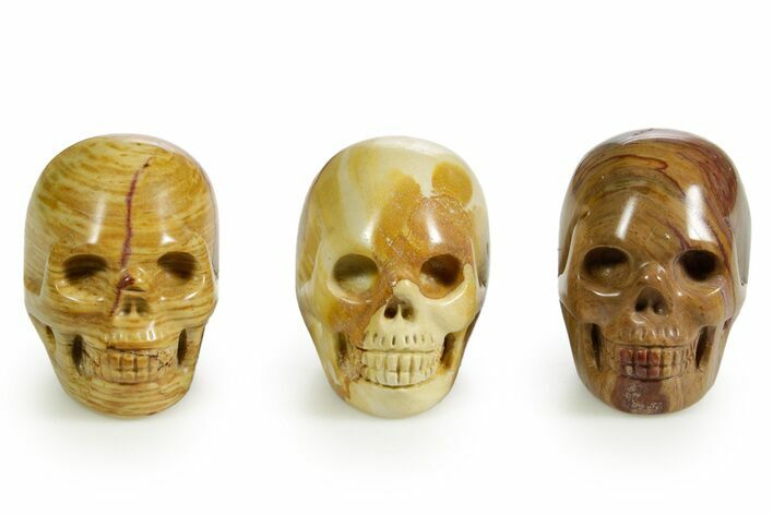 1.5" Polished Nevada Wonderstone Skulls  - Photo 1